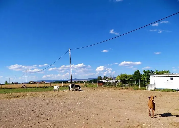 Masia Camineros * Cella